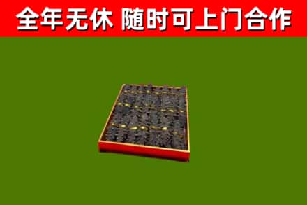 常宁回收海参